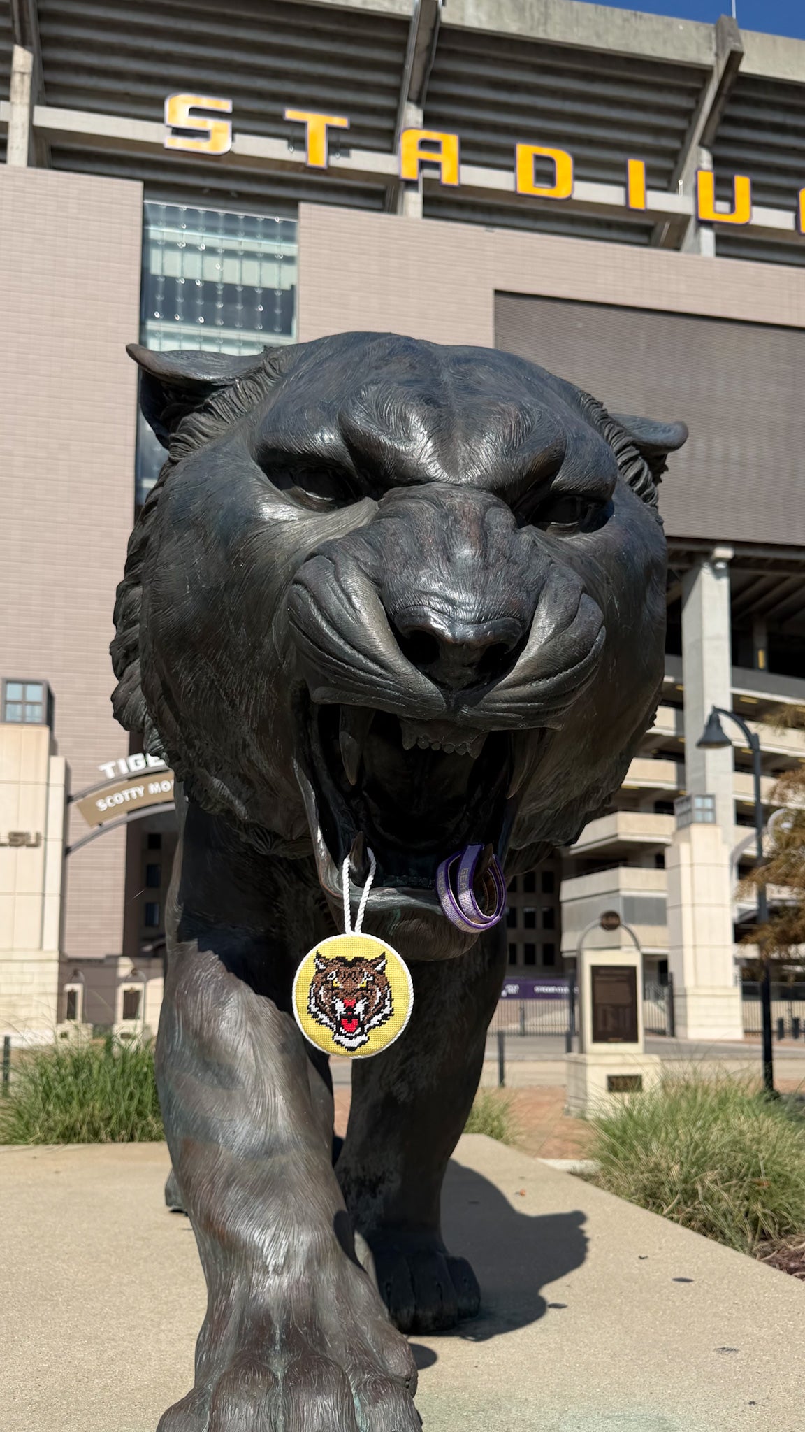 Tiger Head